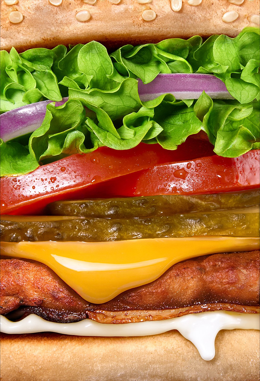 Hamburger cross-section detail